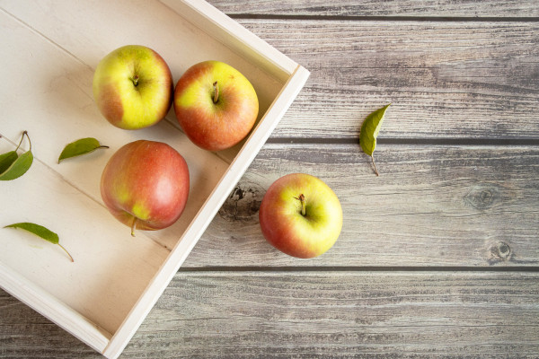 Apfel Delbar