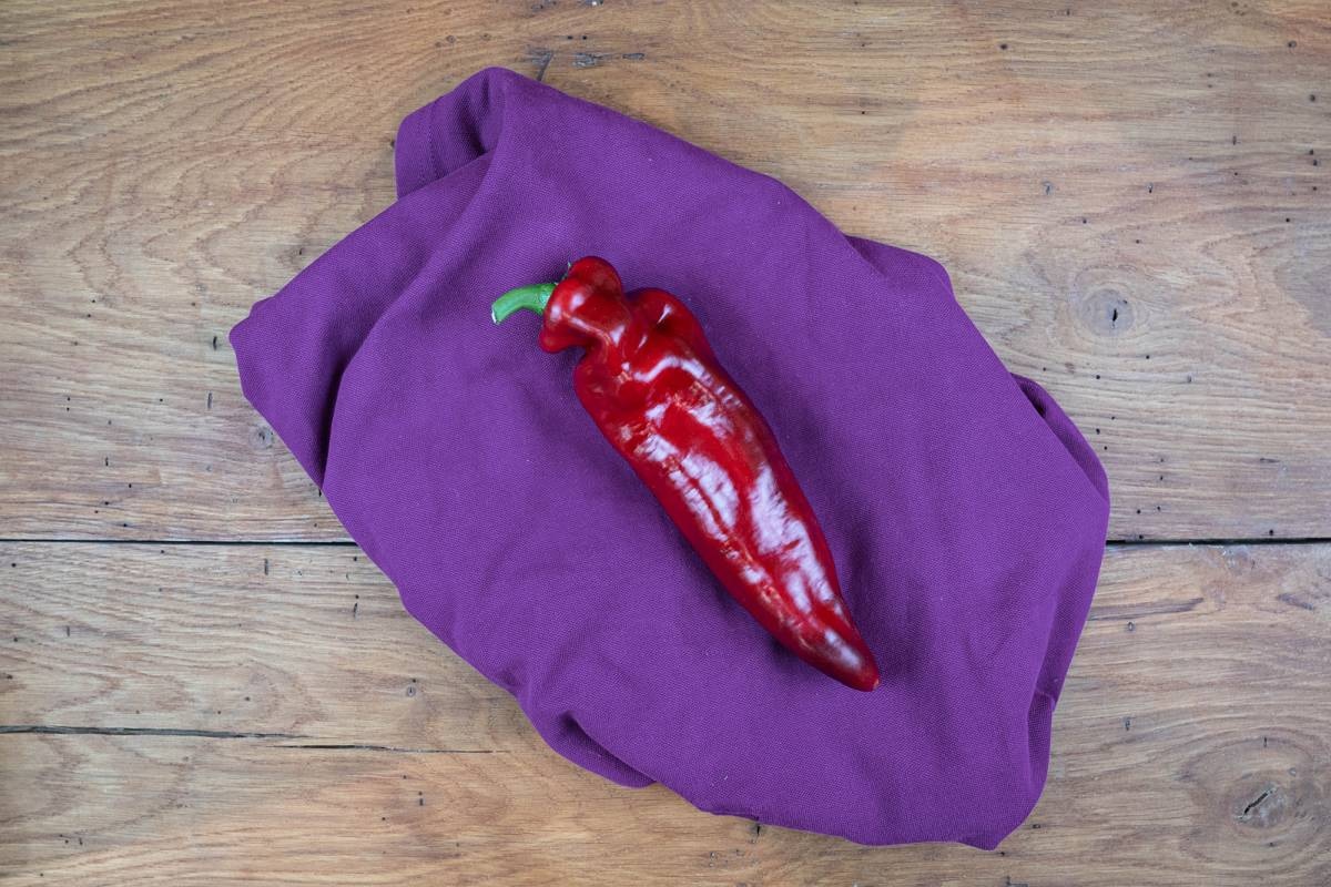 Spitzpaprika