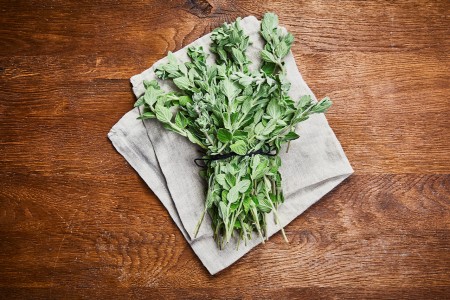 Oregano Schnitt