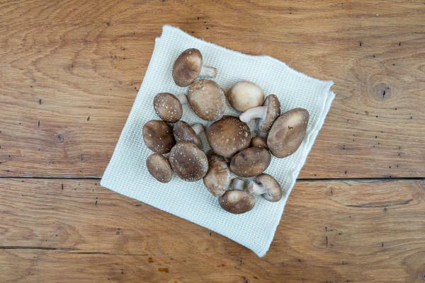 Shiitake