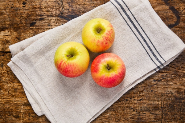 Bio Apfel Discovery